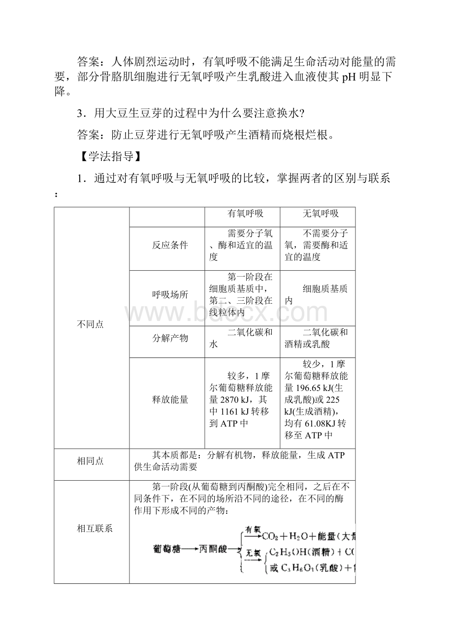 细胞呼吸1.docx_第3页