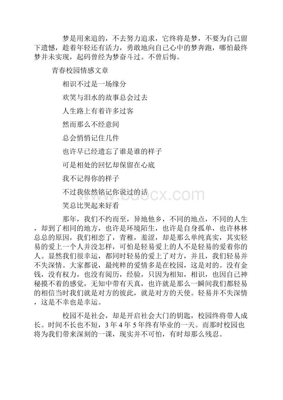 关于青春校园爱情文章5篇.docx_第2页