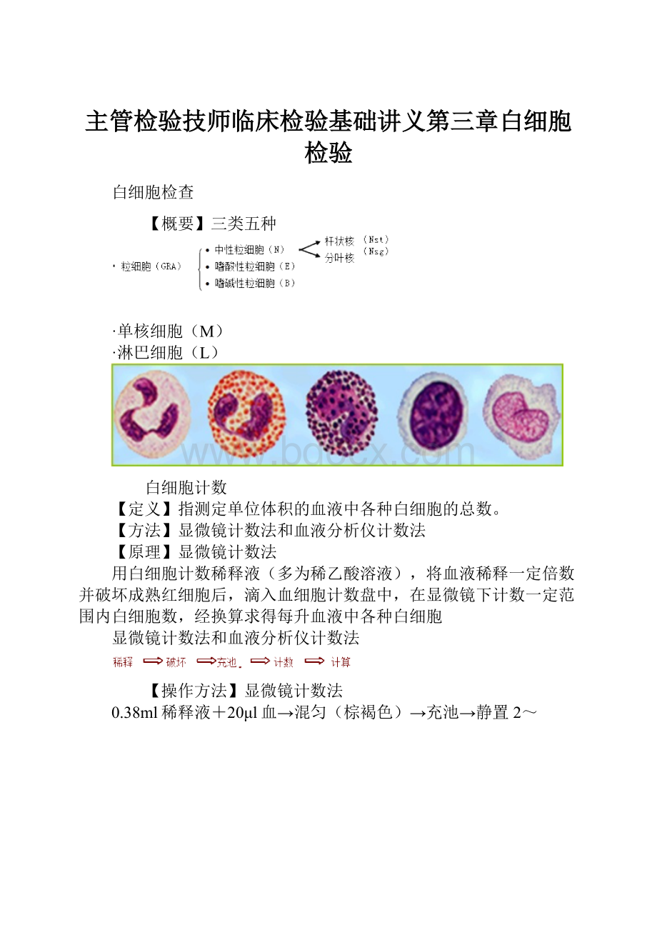 主管检验技师临床检验基础讲义第三章白细胞检验.docx