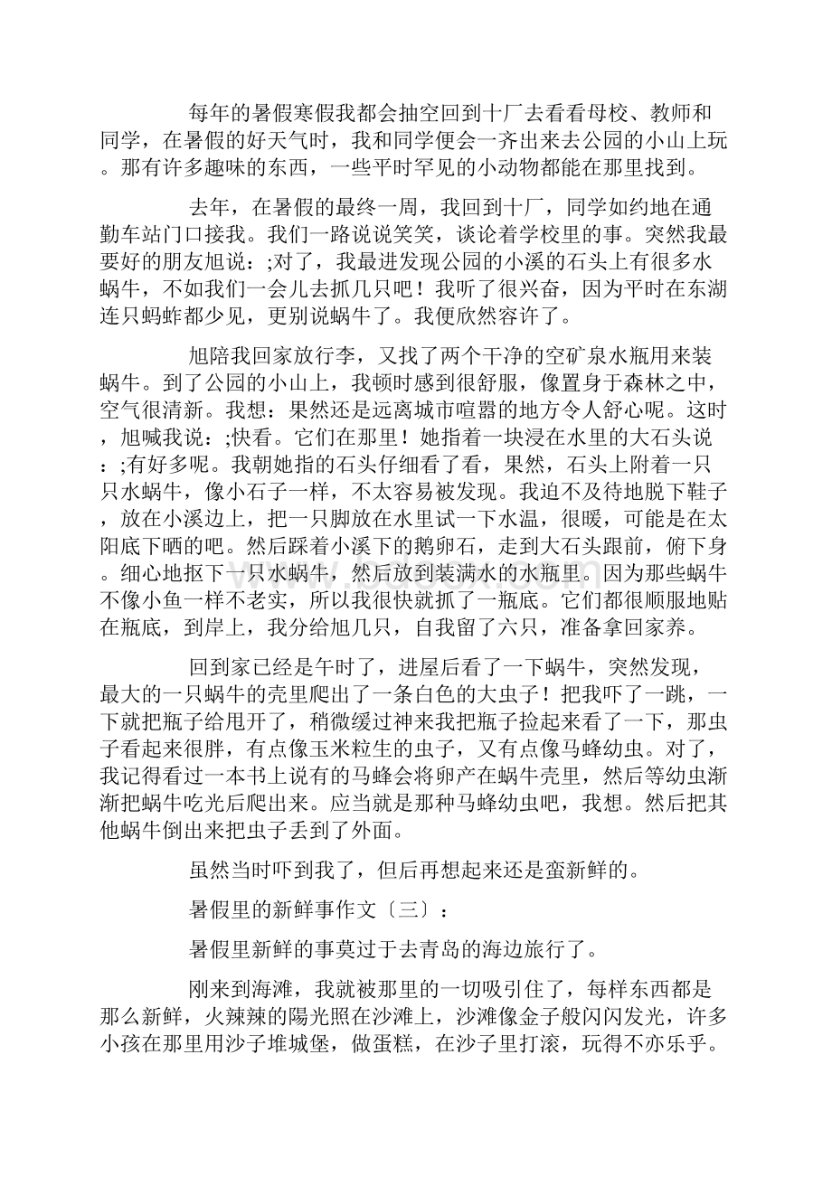 暑假里的新鲜事作文20篇.docx_第2页