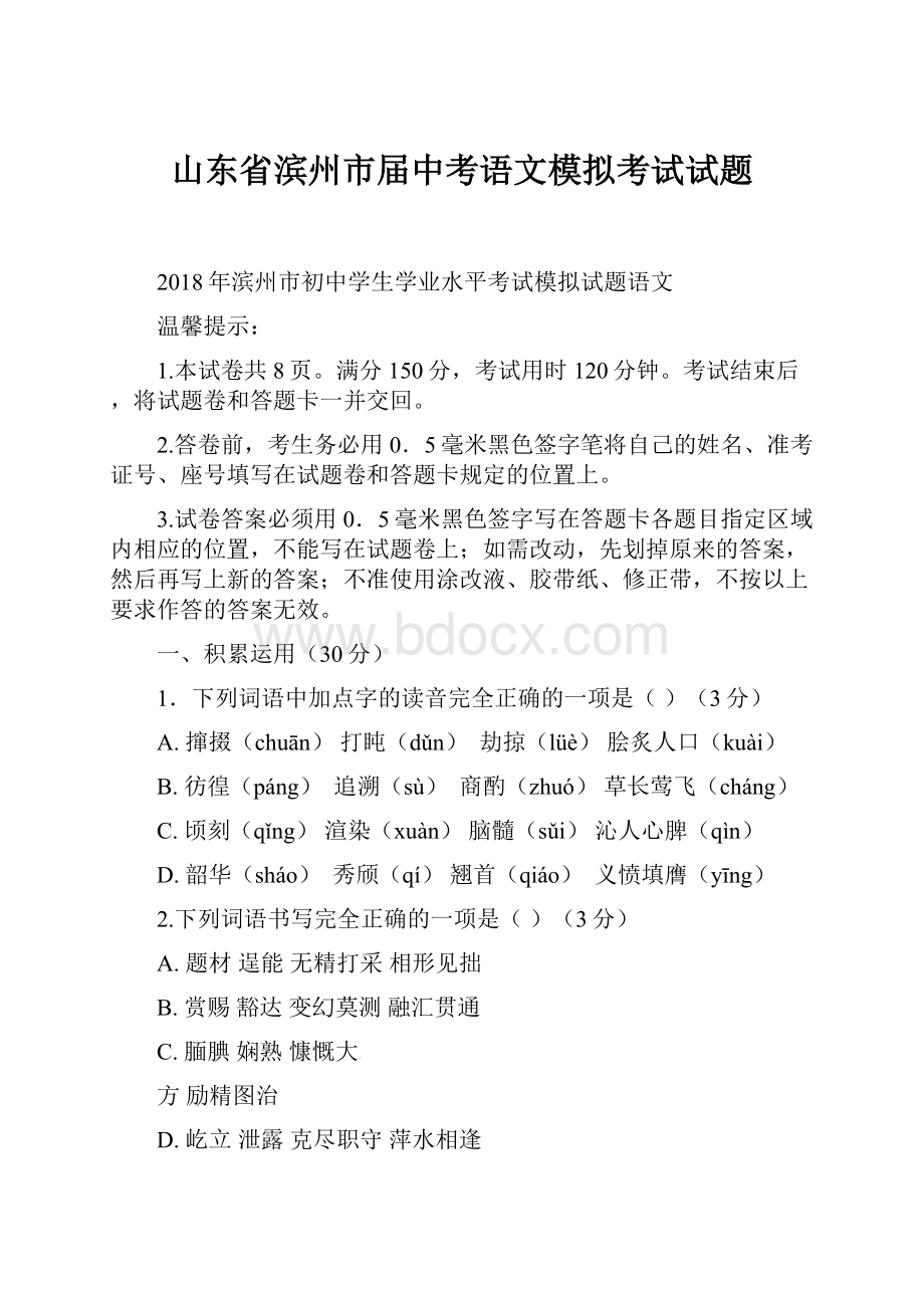 山东省滨州市届中考语文模拟考试试题.docx_第1页