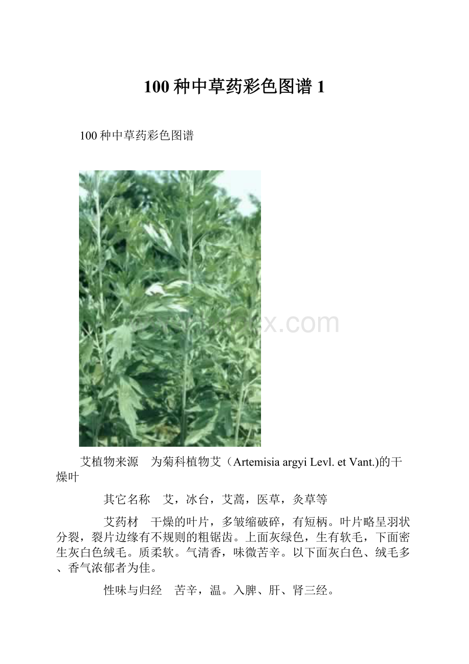 100种中草药彩色图谱1.docx