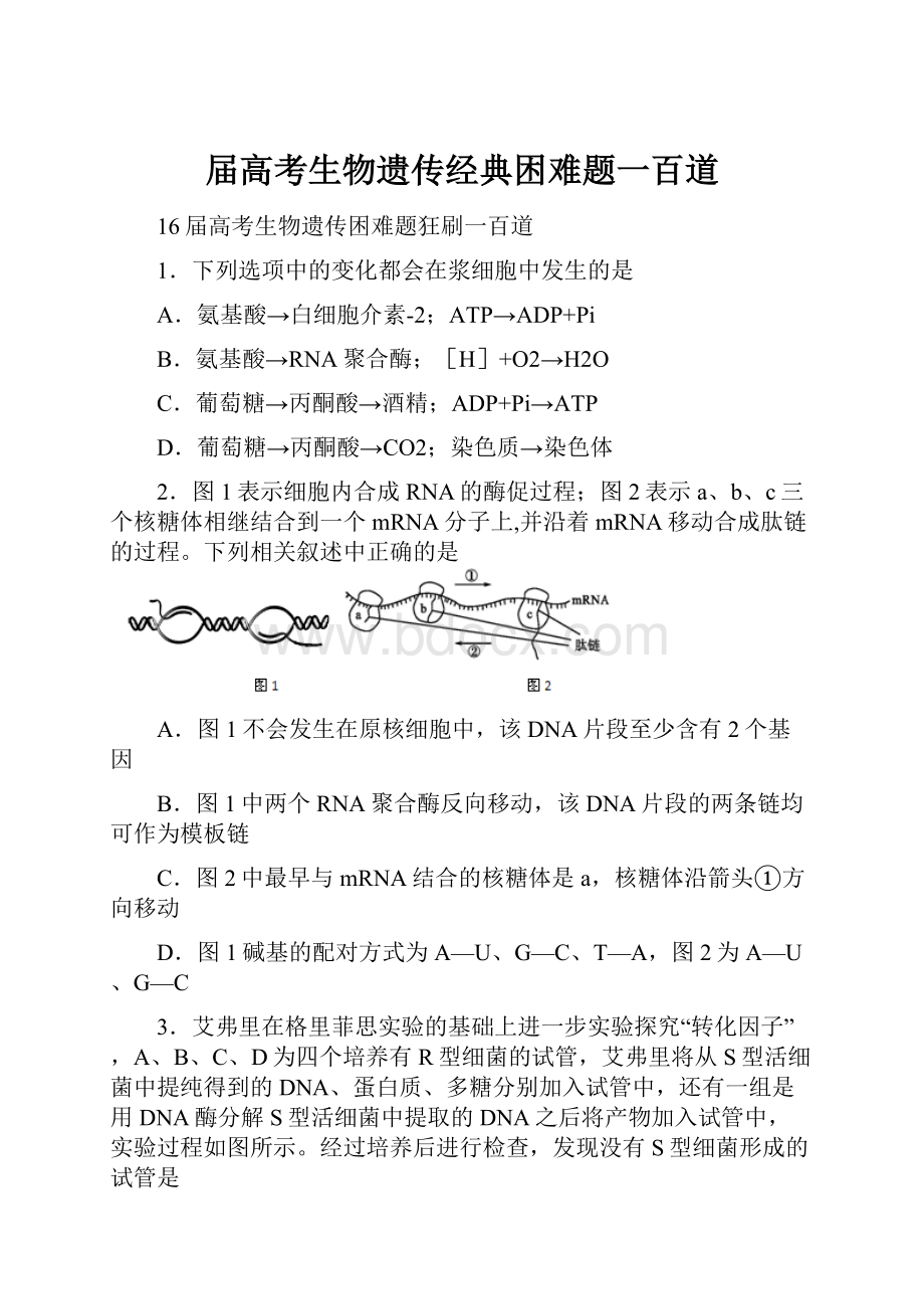 届高考生物遗传经典困难题一百道.docx_第1页