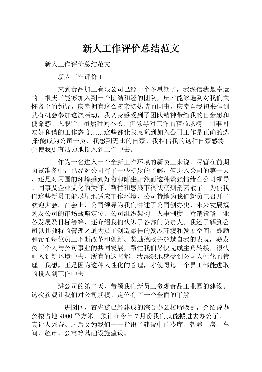 新人工作评价总结范文.docx