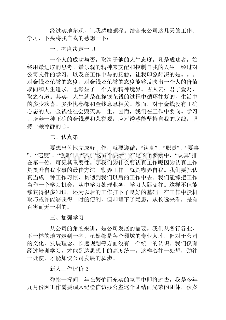 新人工作评价总结范文.docx_第2页