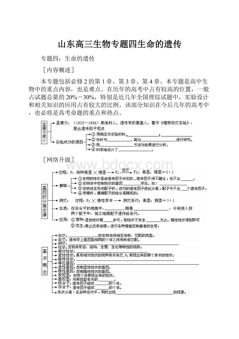 山东高三生物专题四生命的遗传.docx_第1页