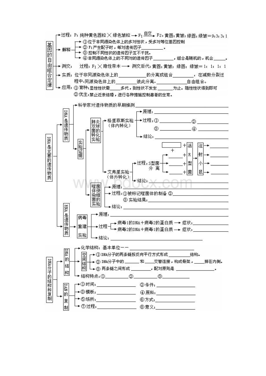 山东高三生物专题四生命的遗传.docx_第2页