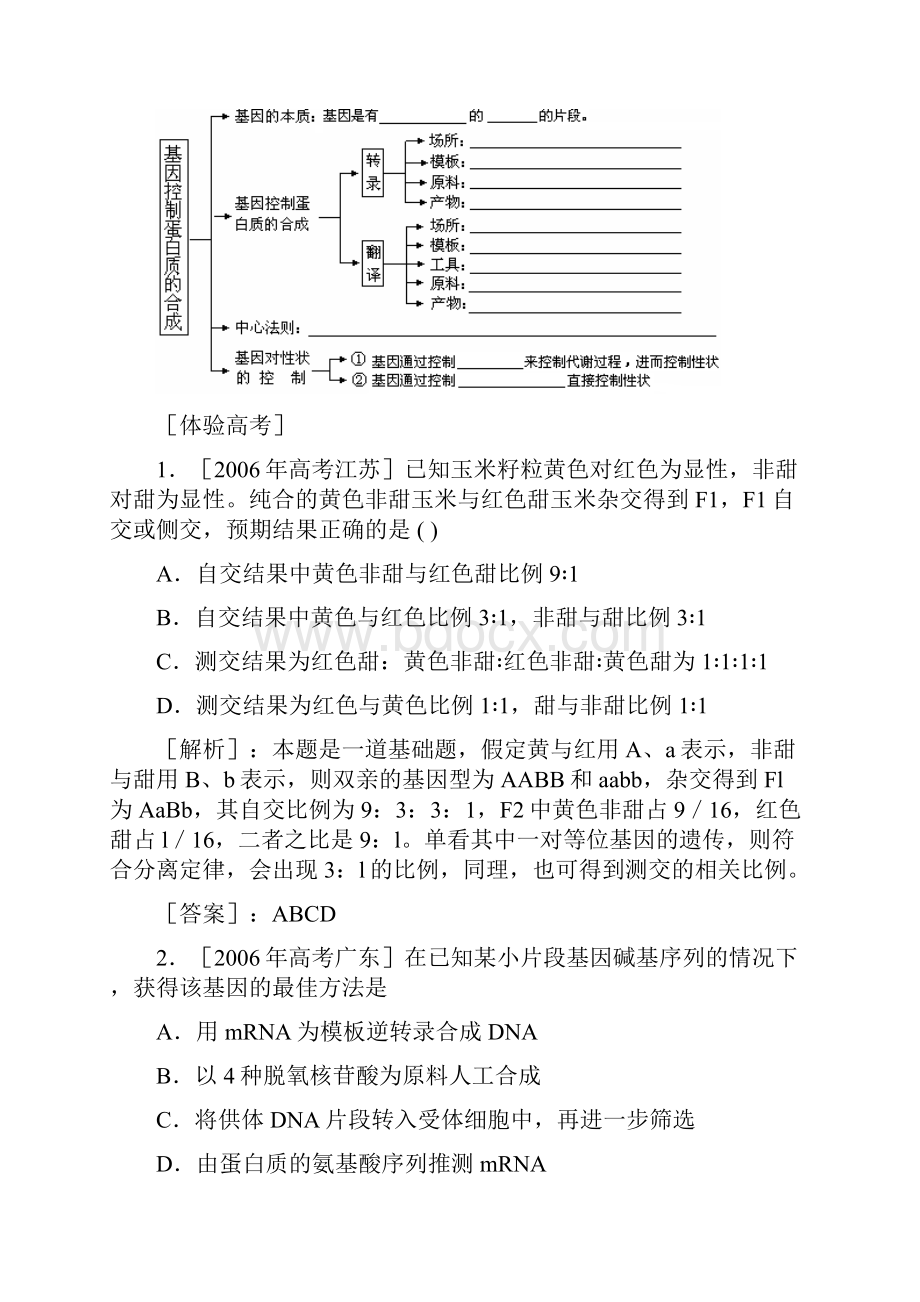 山东高三生物专题四生命的遗传.docx_第3页