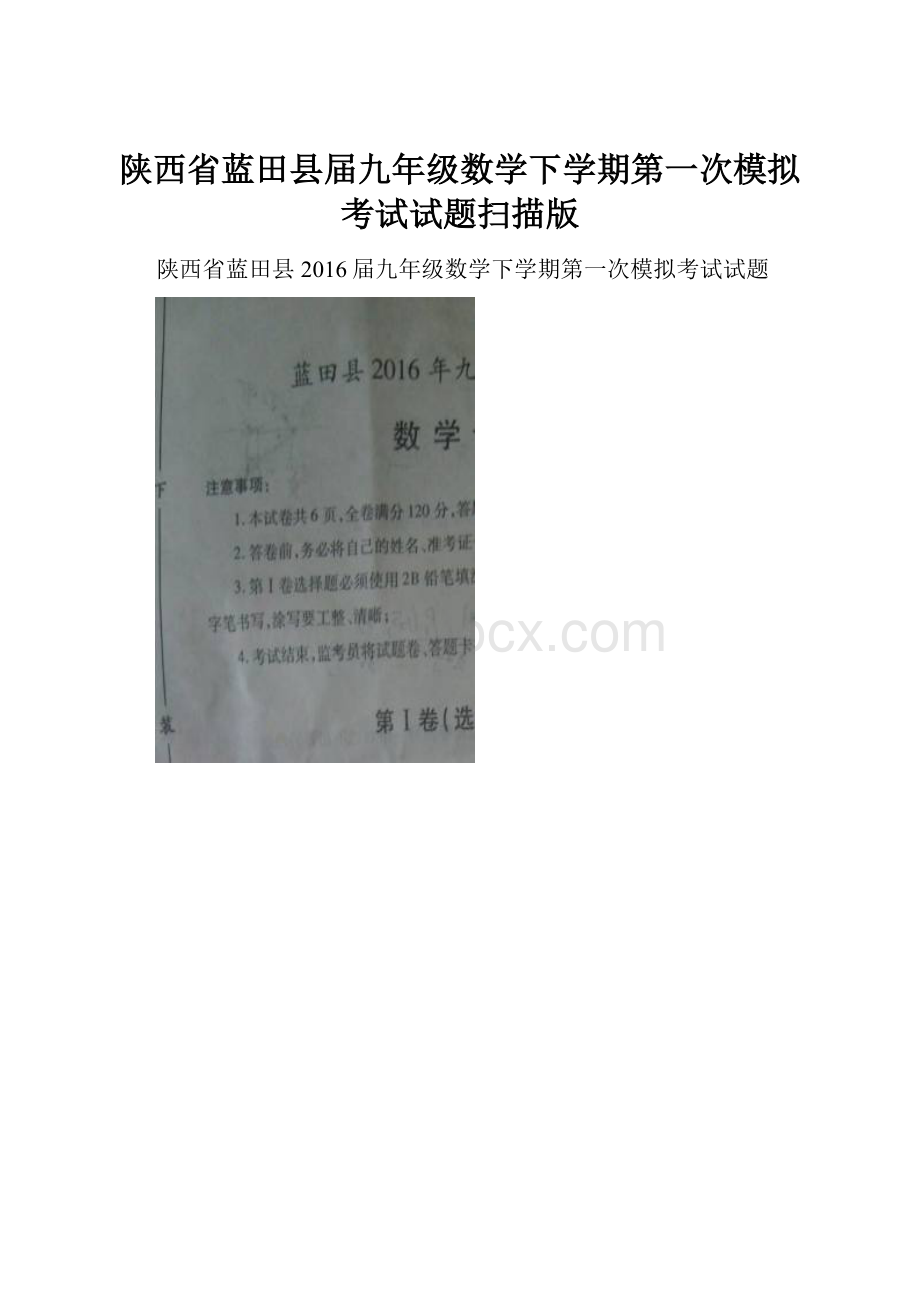 陕西省蓝田县届九年级数学下学期第一次模拟考试试题扫描版.docx