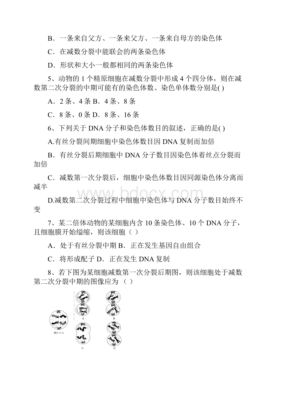 减数分裂和受精作用习题含答案解析.docx_第2页