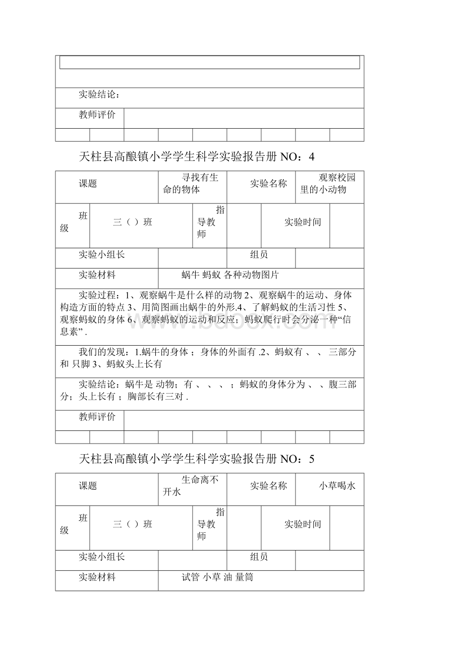 苏教版小学三年级科学上册实验报告册.docx_第3页