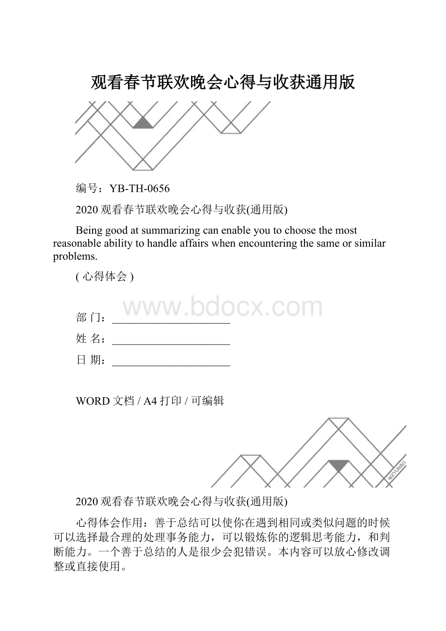 观看春节联欢晚会心得与收获通用版.docx