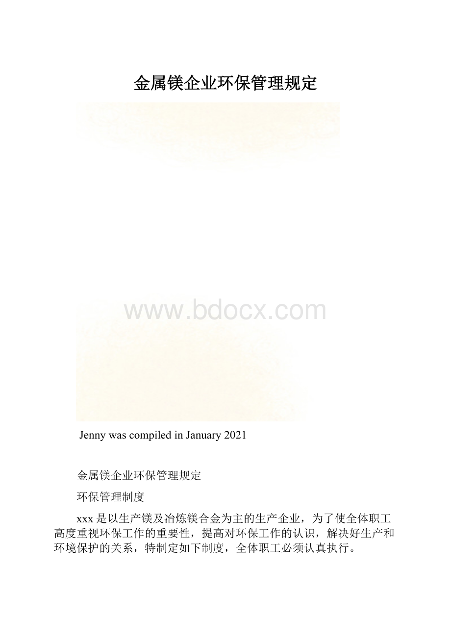 金属镁企业环保管理规定.docx