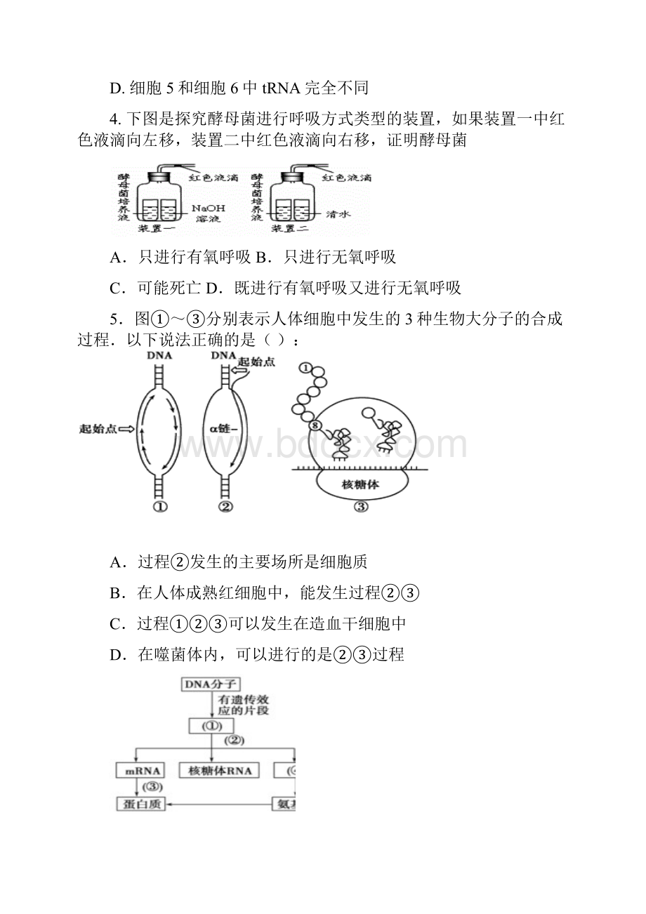 和惠州二模 惠州市届高三第二次调研考试生物试题和答案解析Word版副本.docx_第2页