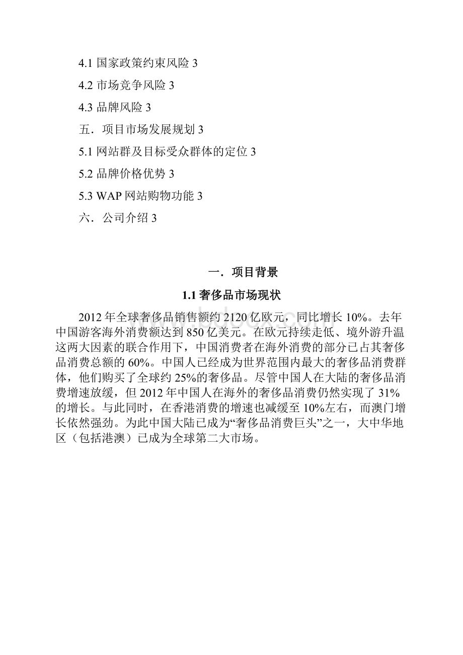 免税店电子商务合作策划书.docx_第2页