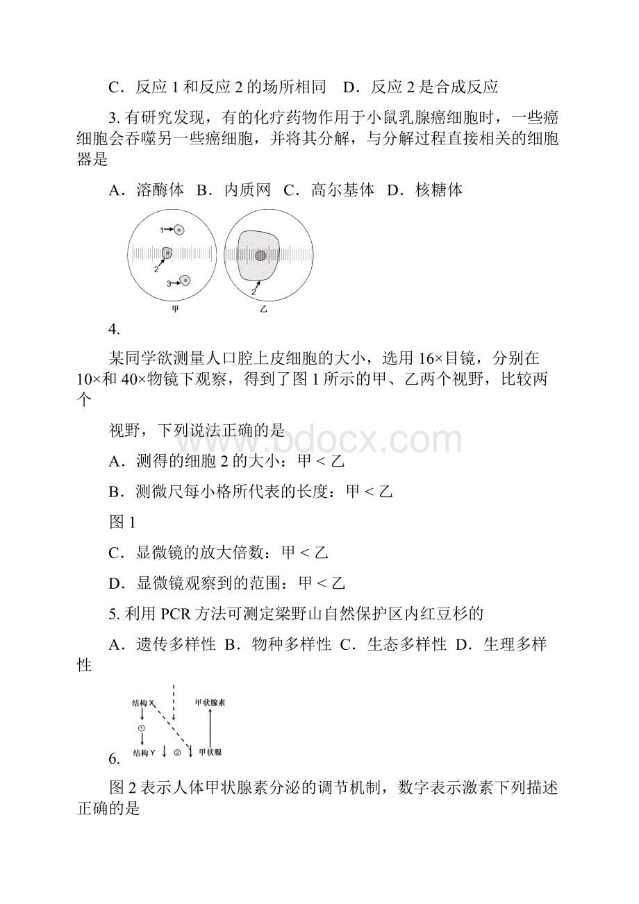 静安区第一学期生物学等级考教学质量检测含答案.docx_第2页