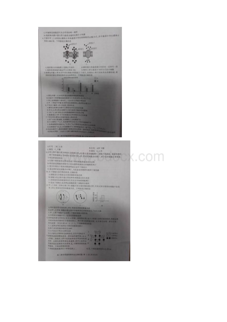 届山东省临沂市高三上学期期末全市统考生物试题.docx_第2页