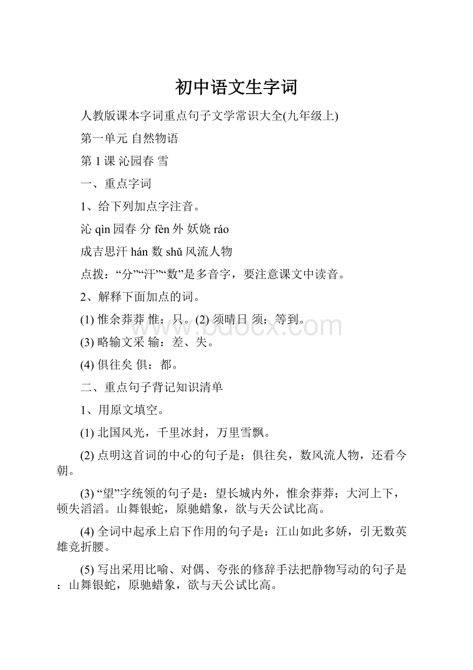 初中语文生字词.docx