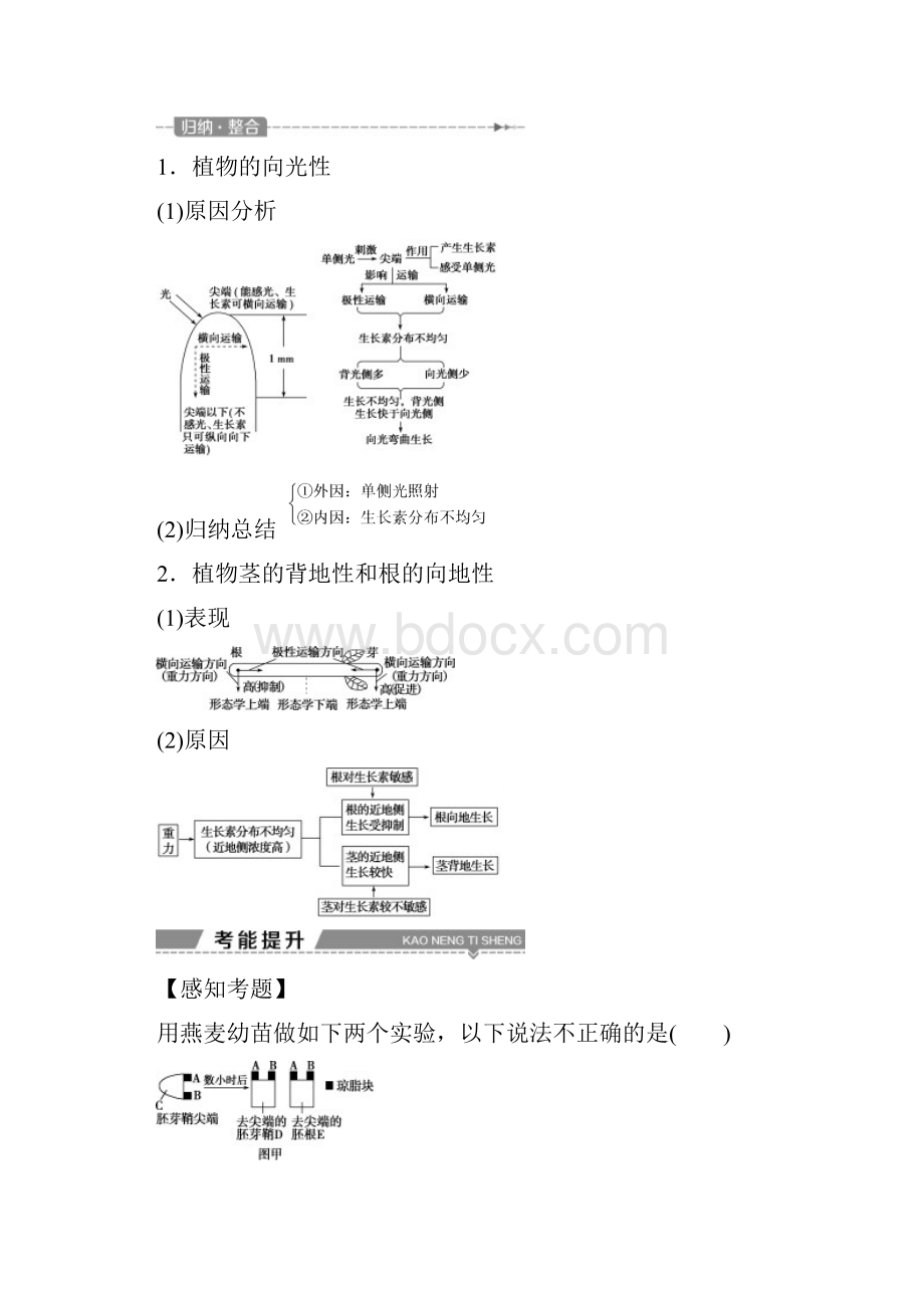 届高考生物一轮复习 第八单元第34讲植物的激素调节.docx_第3页