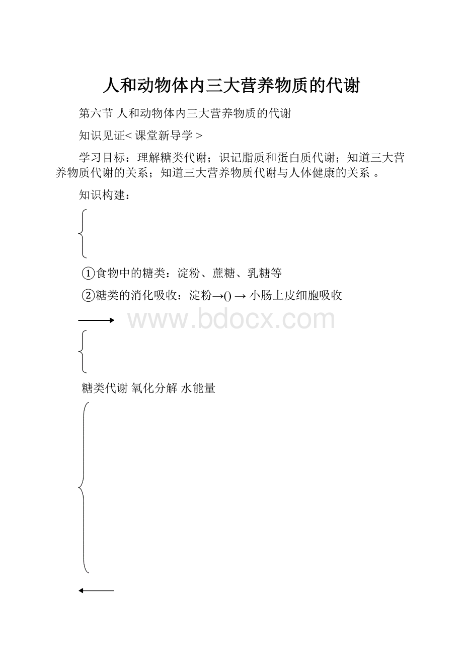 人和动物体内三大营养物质的代谢.docx