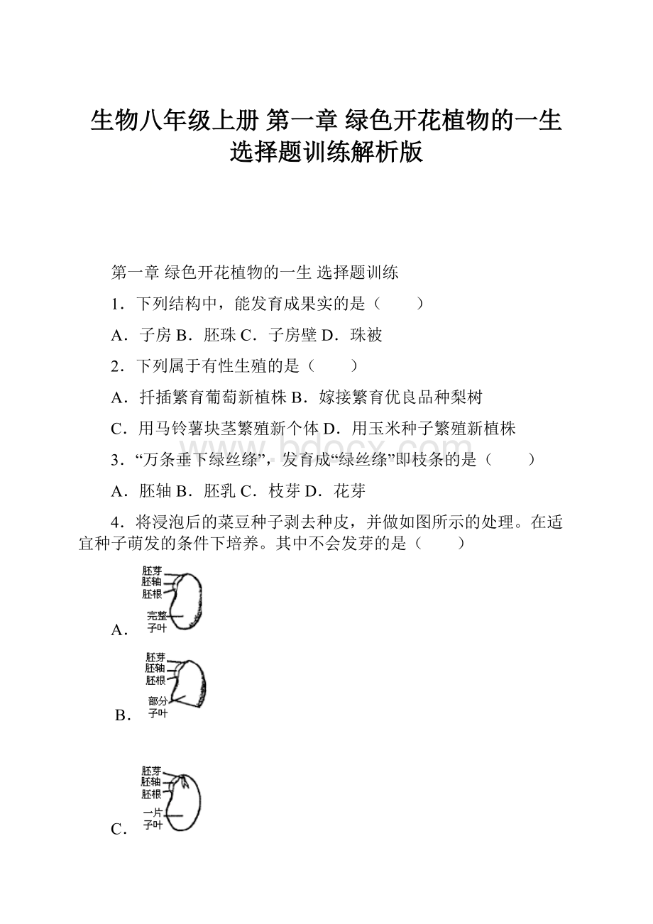 生物八年级上册 第一章 绿色开花植物的一生选择题训练解析版.docx