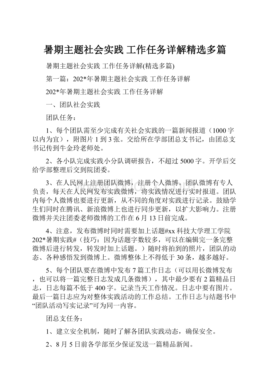 暑期主题社会实践 工作任务详解精选多篇.docx