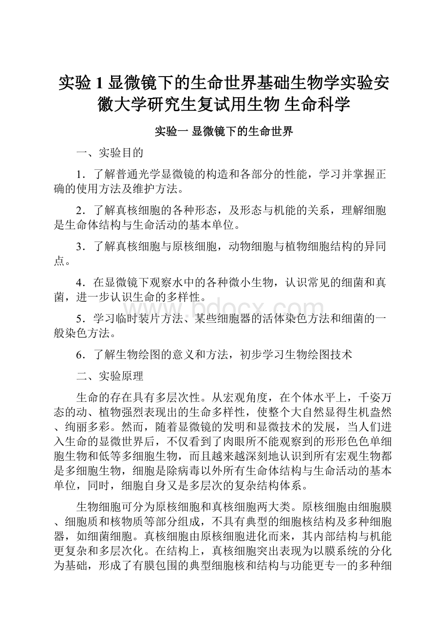 实验1显微镜下的生命世界基础生物学实验安徽大学研究生复试用生物 生命科学.docx