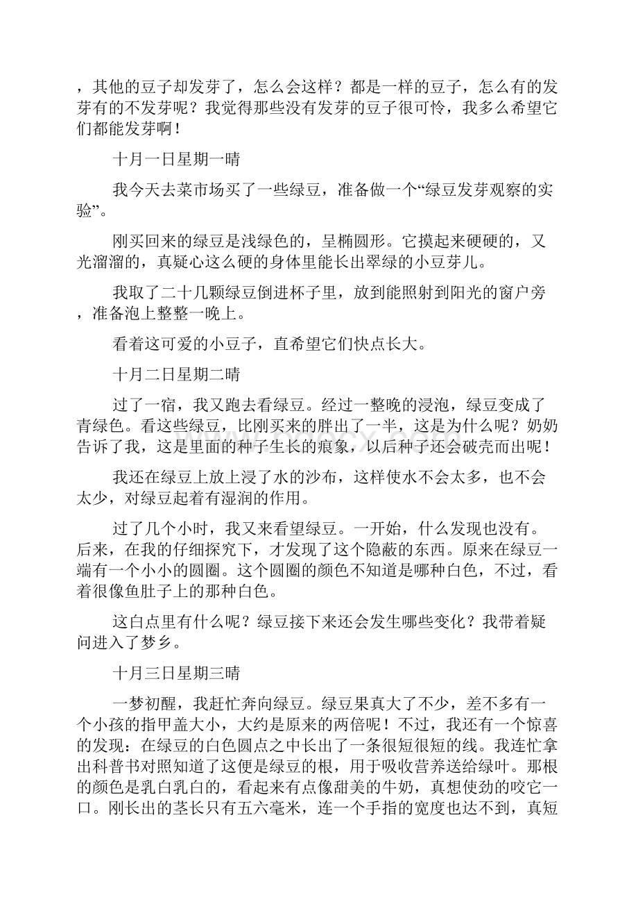 绿豆学生观察日记八则.docx_第3页