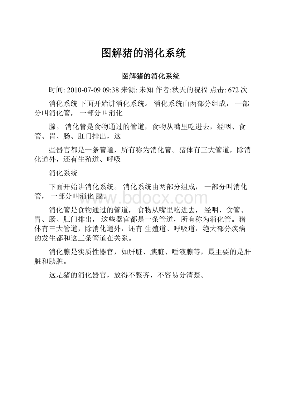 图解猪的消化系统.docx