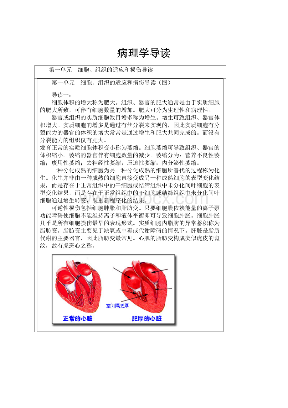 病理学导读.docx_第1页