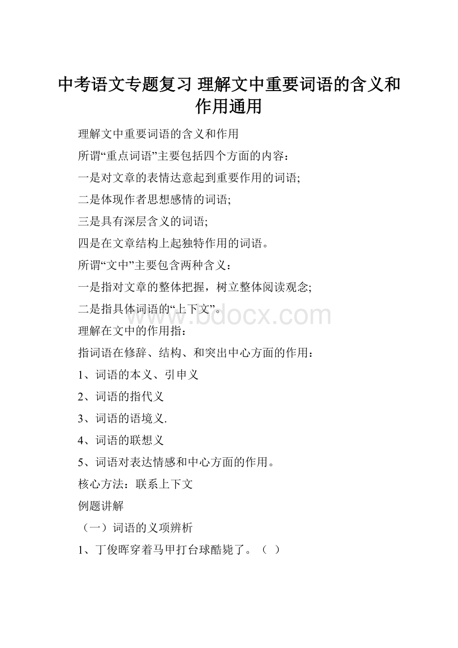 中考语文专题复习 理解文中重要词语的含义和作用通用.docx