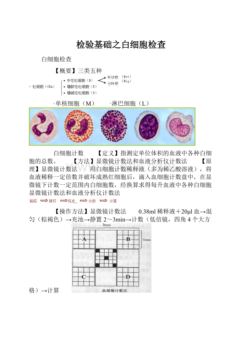 检验基础之白细胞检查.docx