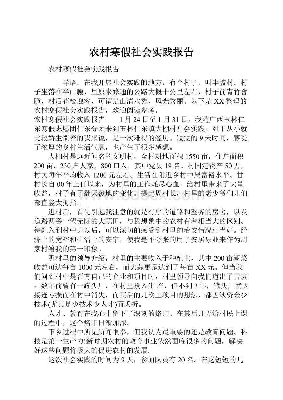 农村寒假社会实践报告.docx