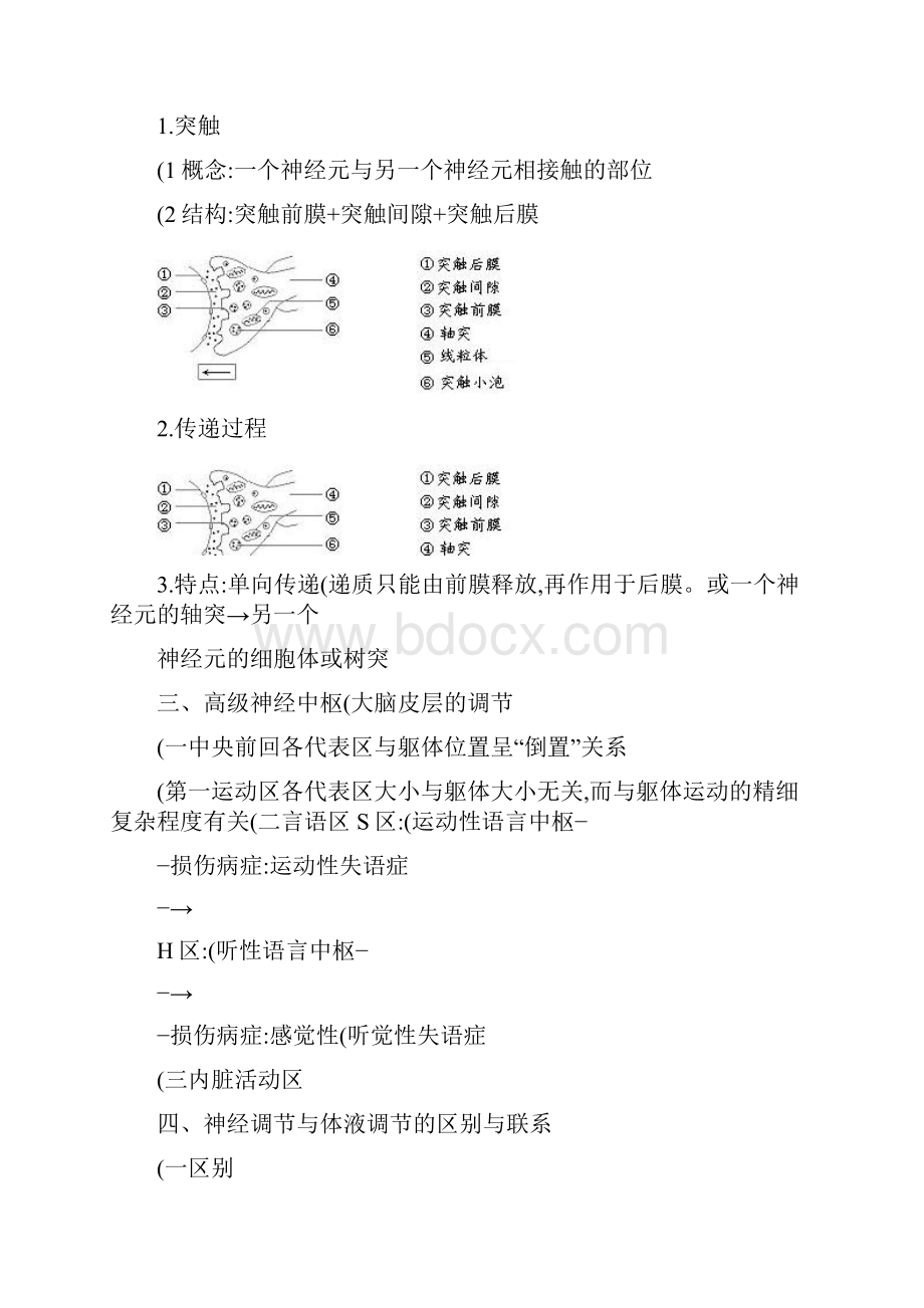 高中生物必修1人和高等动物生命活动的调节之神经调节.docx_第3页