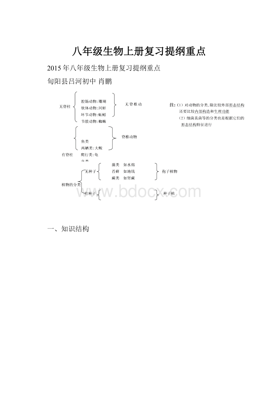 八年级生物上册复习提纲重点.docx