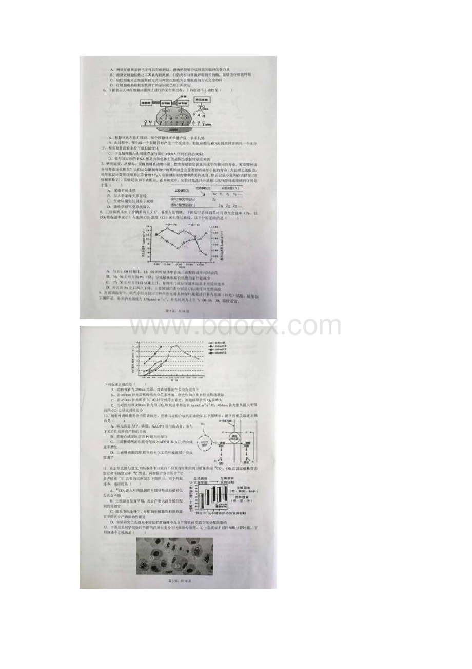 浙江省高中生物学竞赛试题及答案.docx_第2页