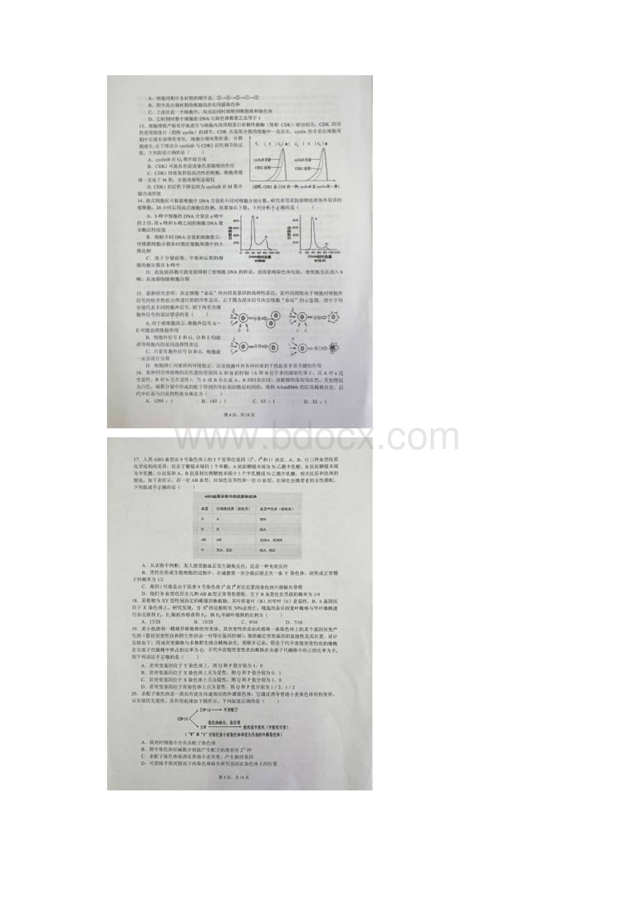 浙江省高中生物学竞赛试题及答案.docx_第3页