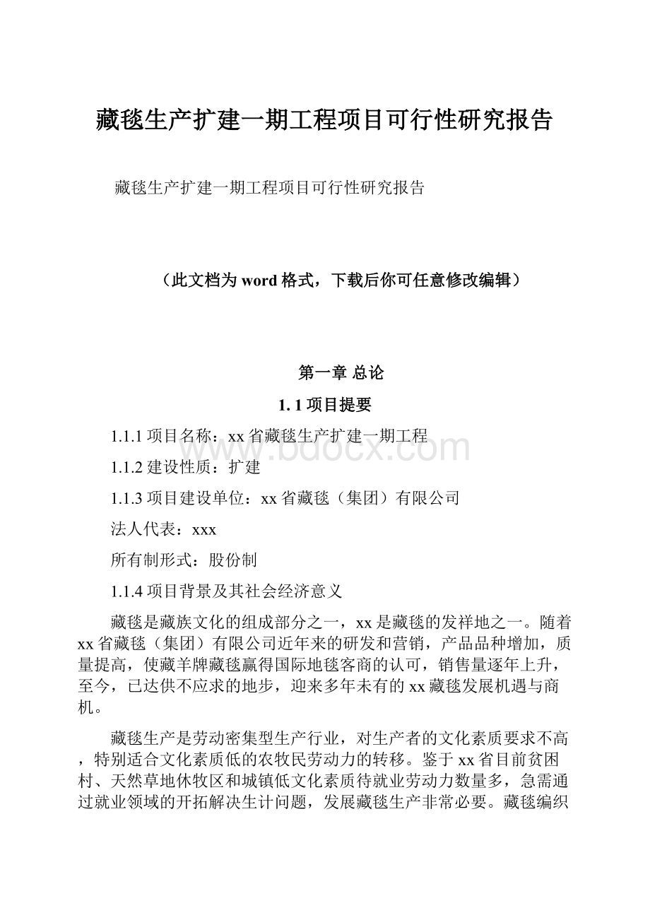 藏毯生产扩建一期工程项目可行性研究报告.docx_第1页