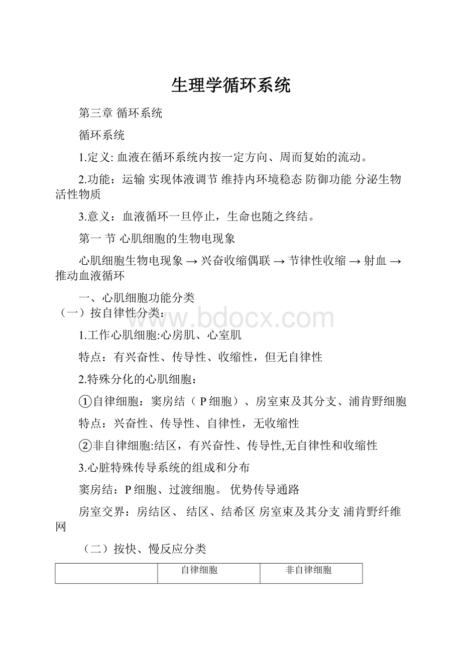 生理学循环系统.docx