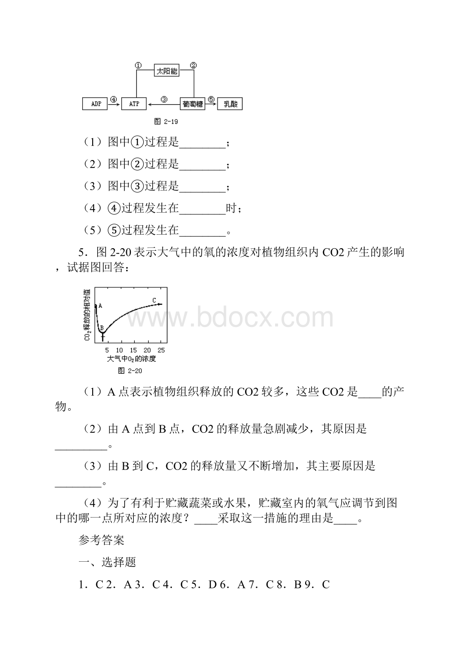 绿色植物的新陈代谢呼吸作用基础训练与点将过关及参考答案.docx_第3页