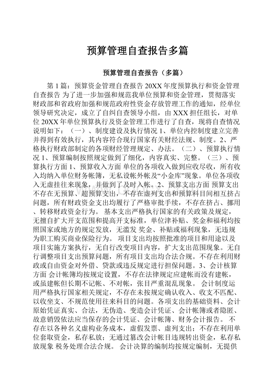 预算管理自查报告多篇.docx_第1页