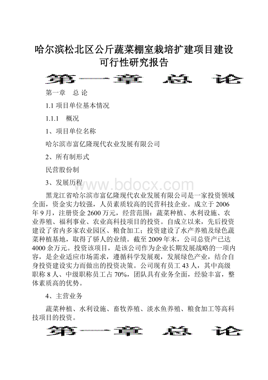 哈尔滨松北区公斤蔬菜棚室栽培扩建项目建设可行性研究报告.docx