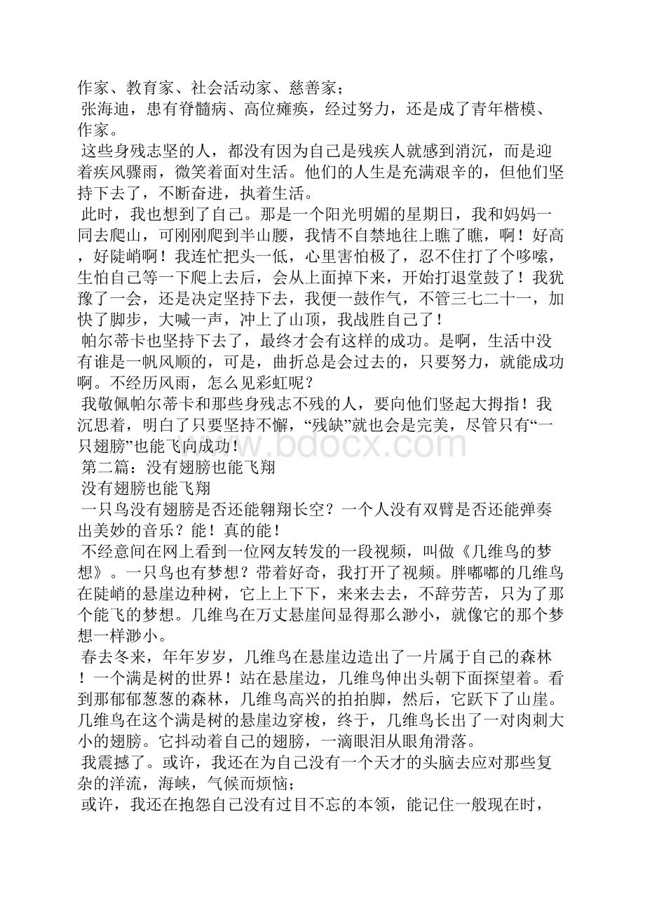 一只翅膀也能飞翔读后感精选多篇飞翔的翅膀读后感.docx_第2页