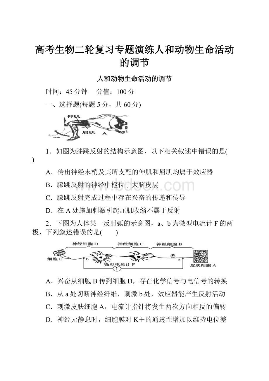 高考生物二轮复习专题演练人和动物生命活动的调节.docx