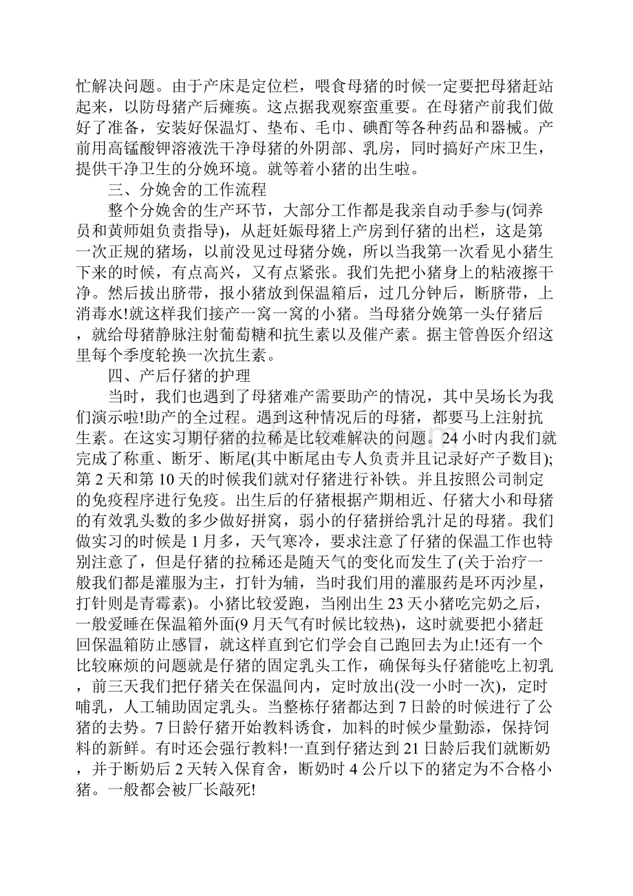 猪场实习报告总结.docx_第3页