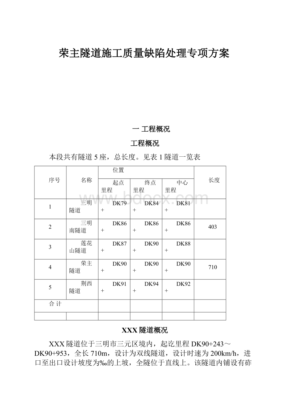 荣主隧道施工质量缺陷处理专项方案.docx_第1页