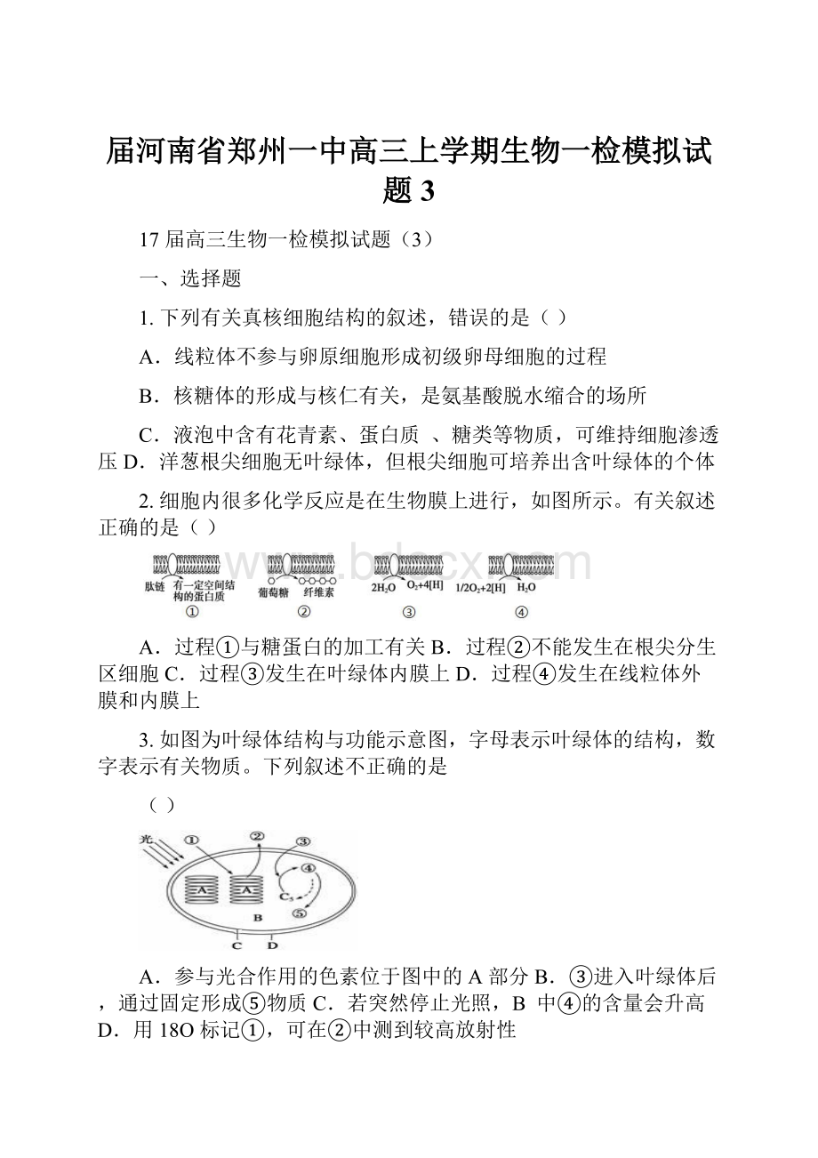 届河南省郑州一中高三上学期生物一检模拟试题3.docx