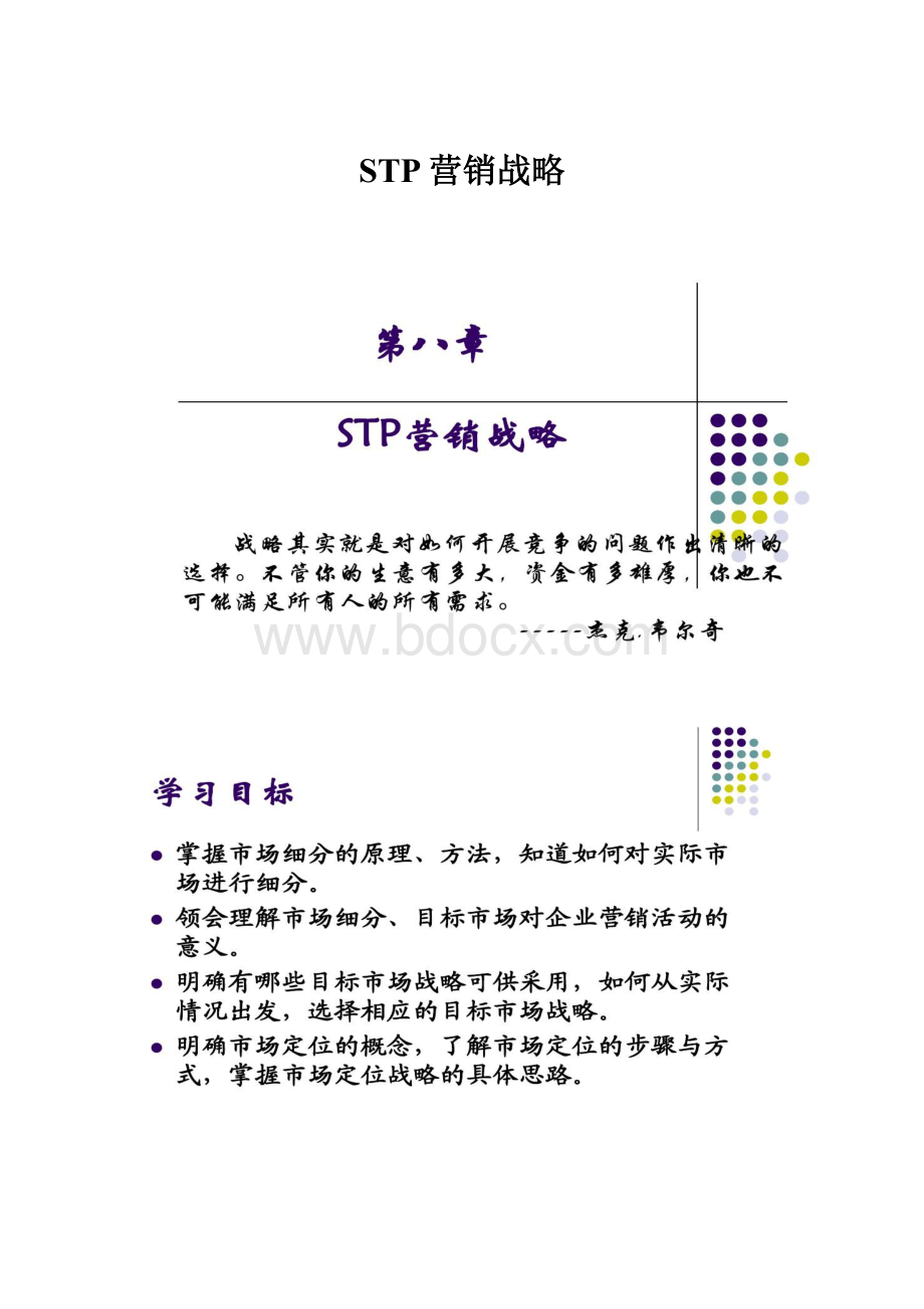 STP营销战略.docx