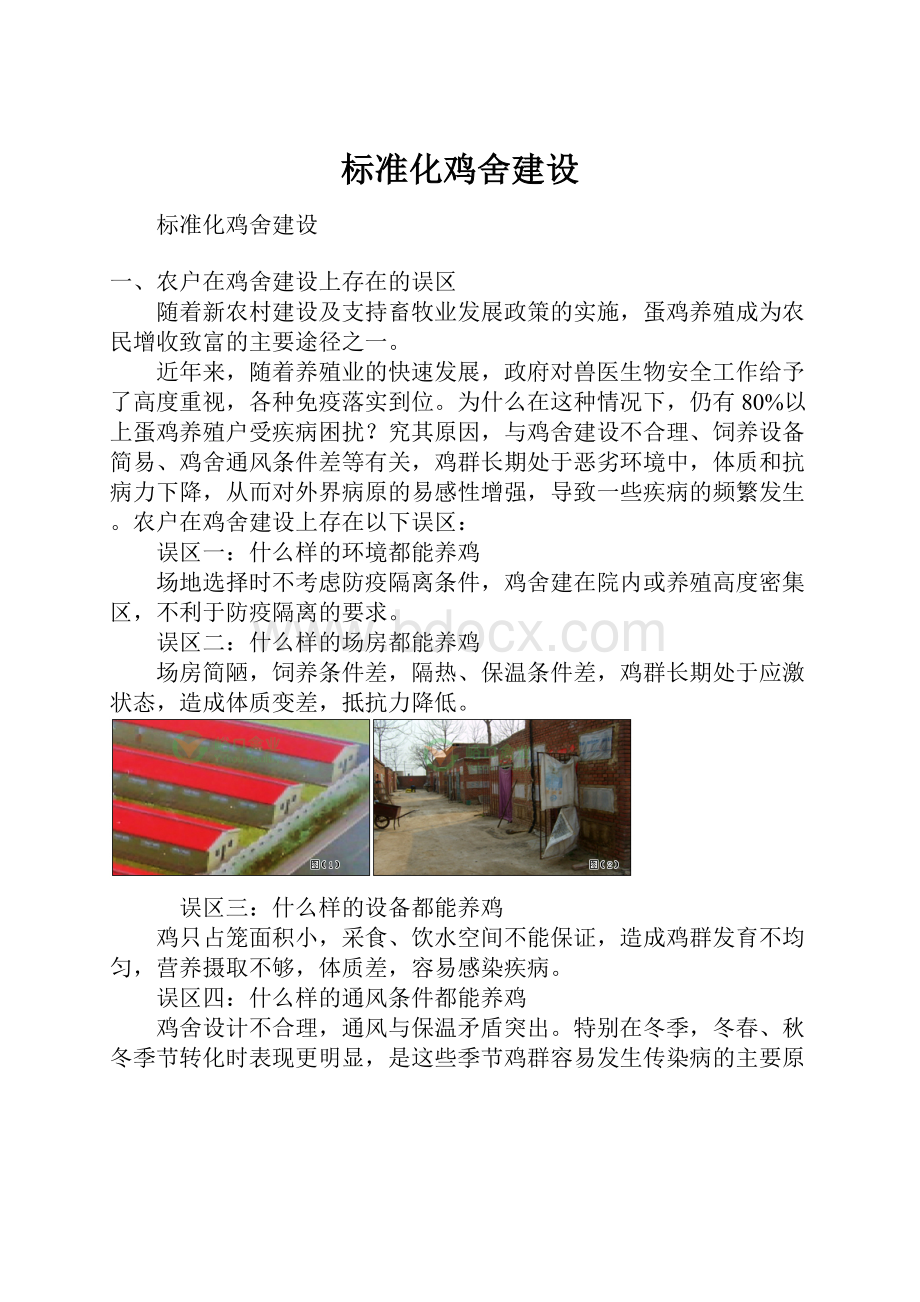 标准化鸡舍建设.docx