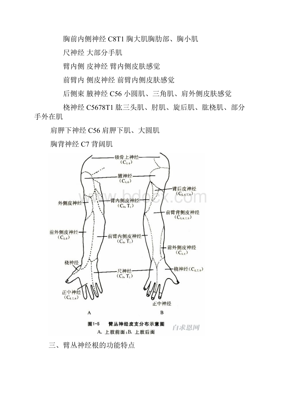 臂丛神经损伤.docx_第3页